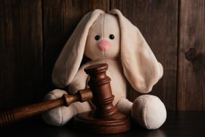 defense of child in homicide