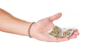Hand holding small plastic bags containing cannabis buds