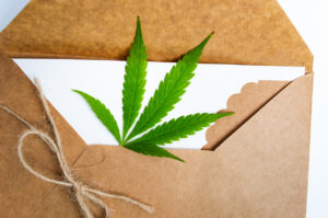 Why Choose Texas Defense Firm to Help Me If I’ve Been Accused of Marijuana Possession in Allen, TX?