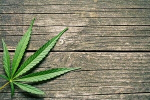 Why Hire Texas Defense Firm’s Plano Criminal Defense Attorneys After a Marijuana Arrest?
